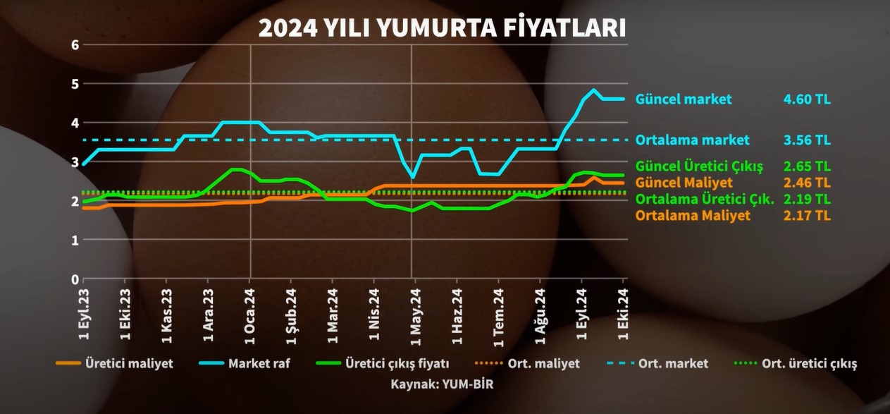 2024 Yumurta Fiyatlari