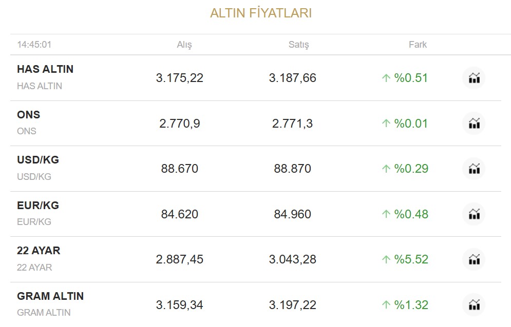 Altin Rekor-2