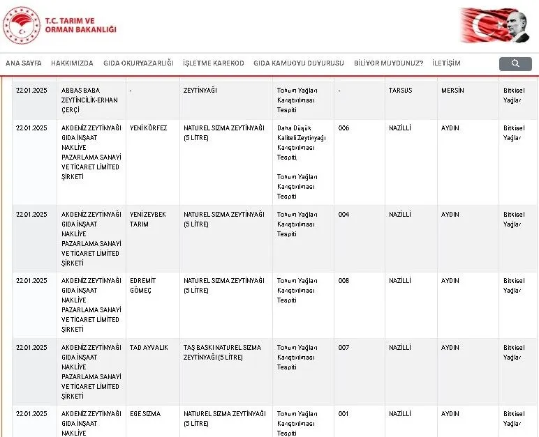 Tablo-1