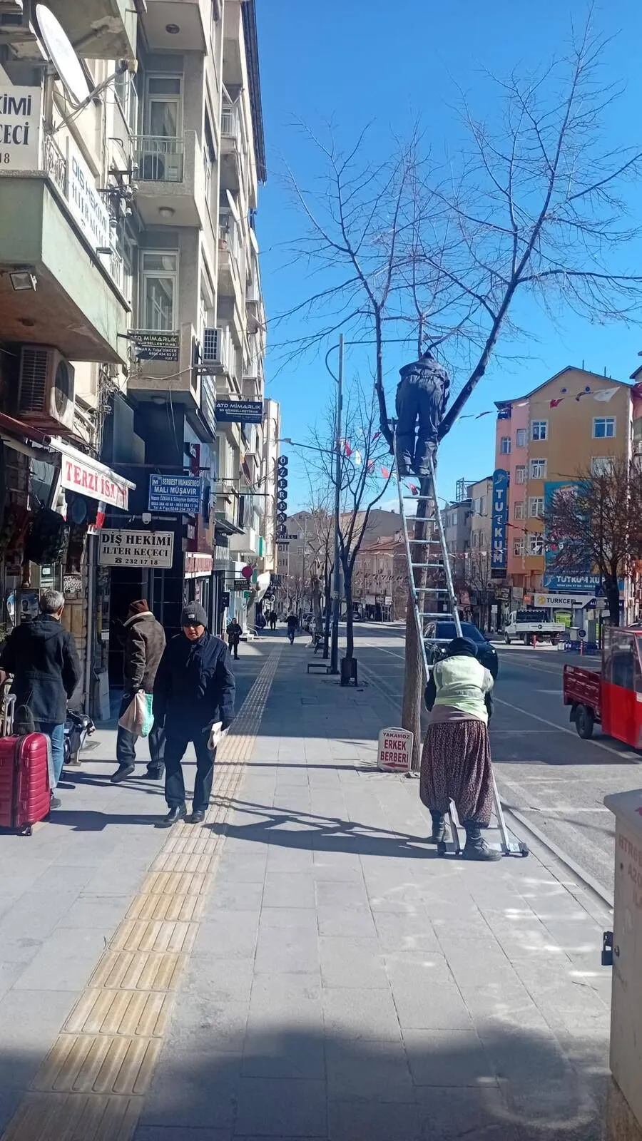 Burdur’da Ağaçlara İlkbahar Bakımı! 2