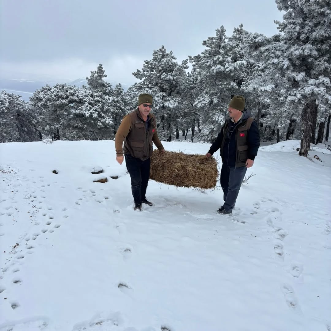 Burdur'da Ekipler Dağlara Ulaşarak Yem Bıraktı 1