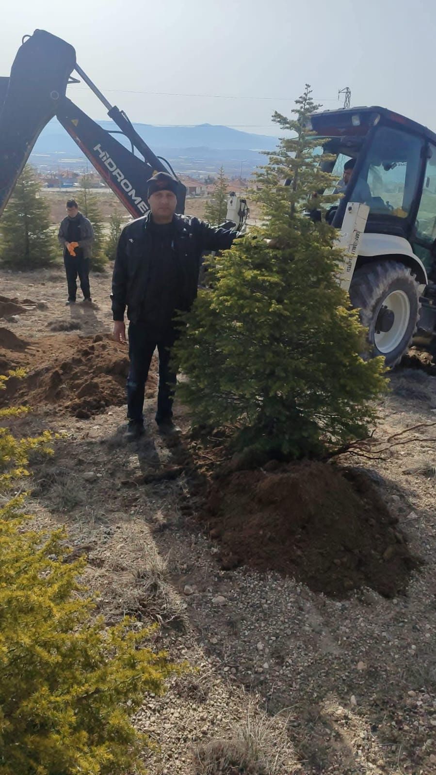 Çevre Dostu Adım! Karamanlı’da Ağaçlar Yeni Hayatına Kavuşuyor 1