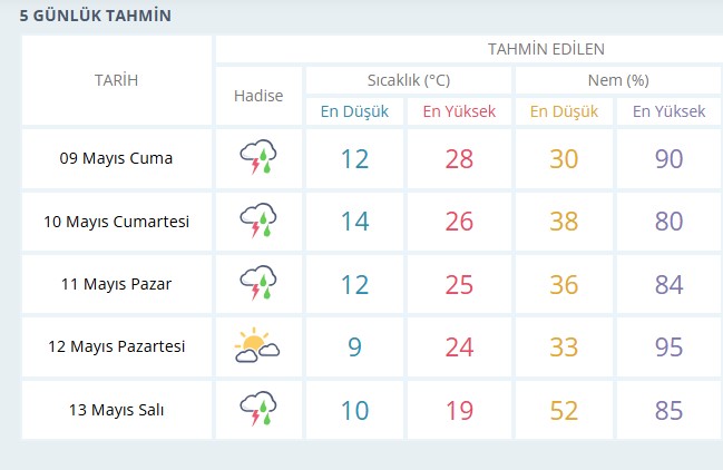5 Gunluk Rapor