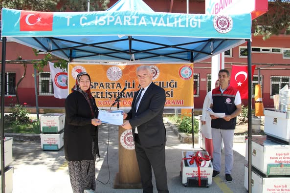 Arılı Kovan1