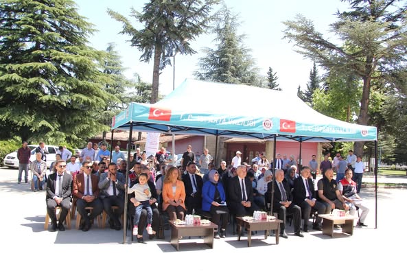 Arılı Kovan3
