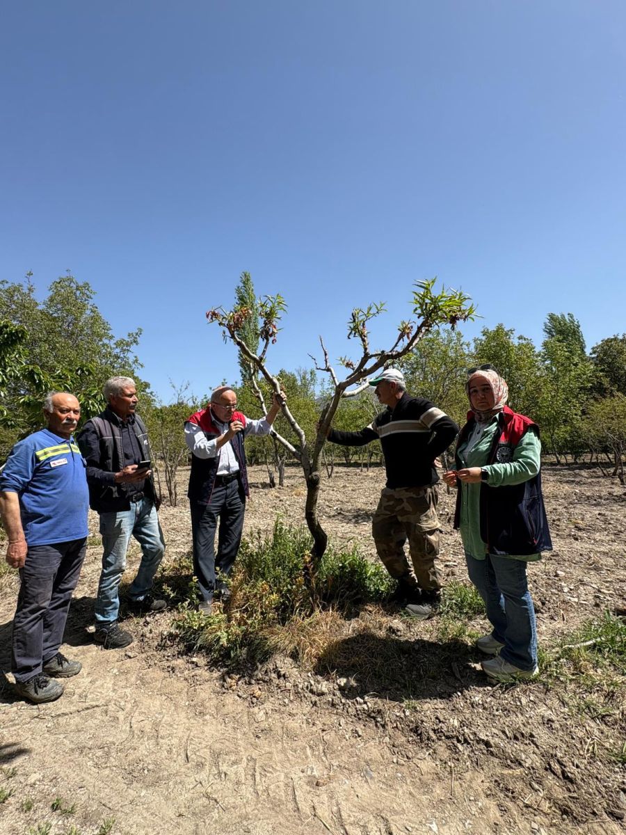 Burdur’da Don Zararına Karşı Müdahale Başladı! 4