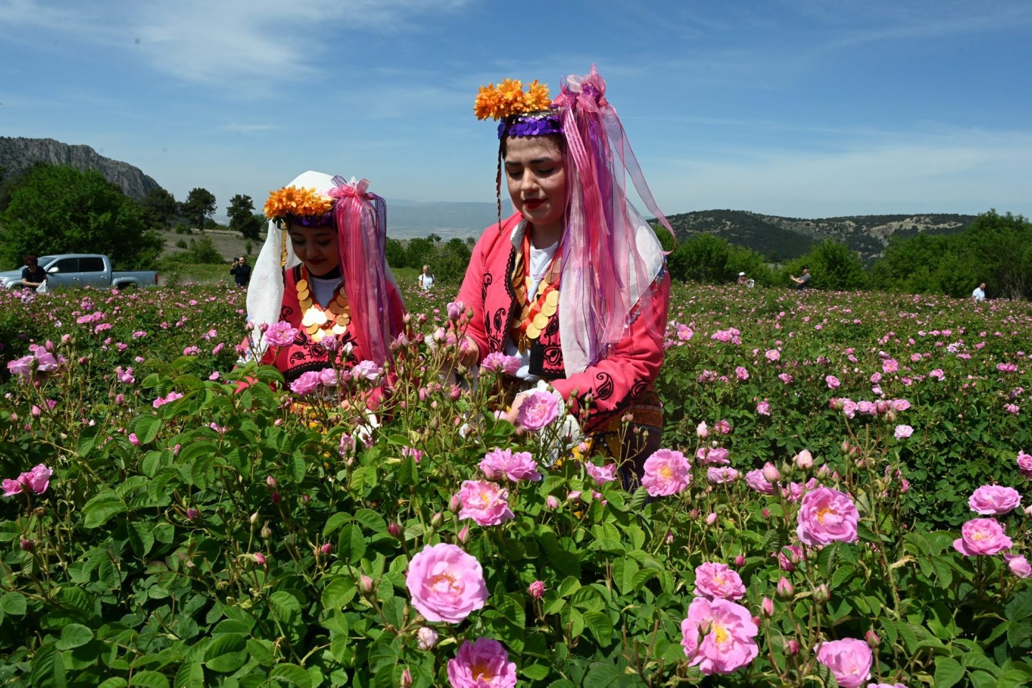 Gül Festivali Görsel4