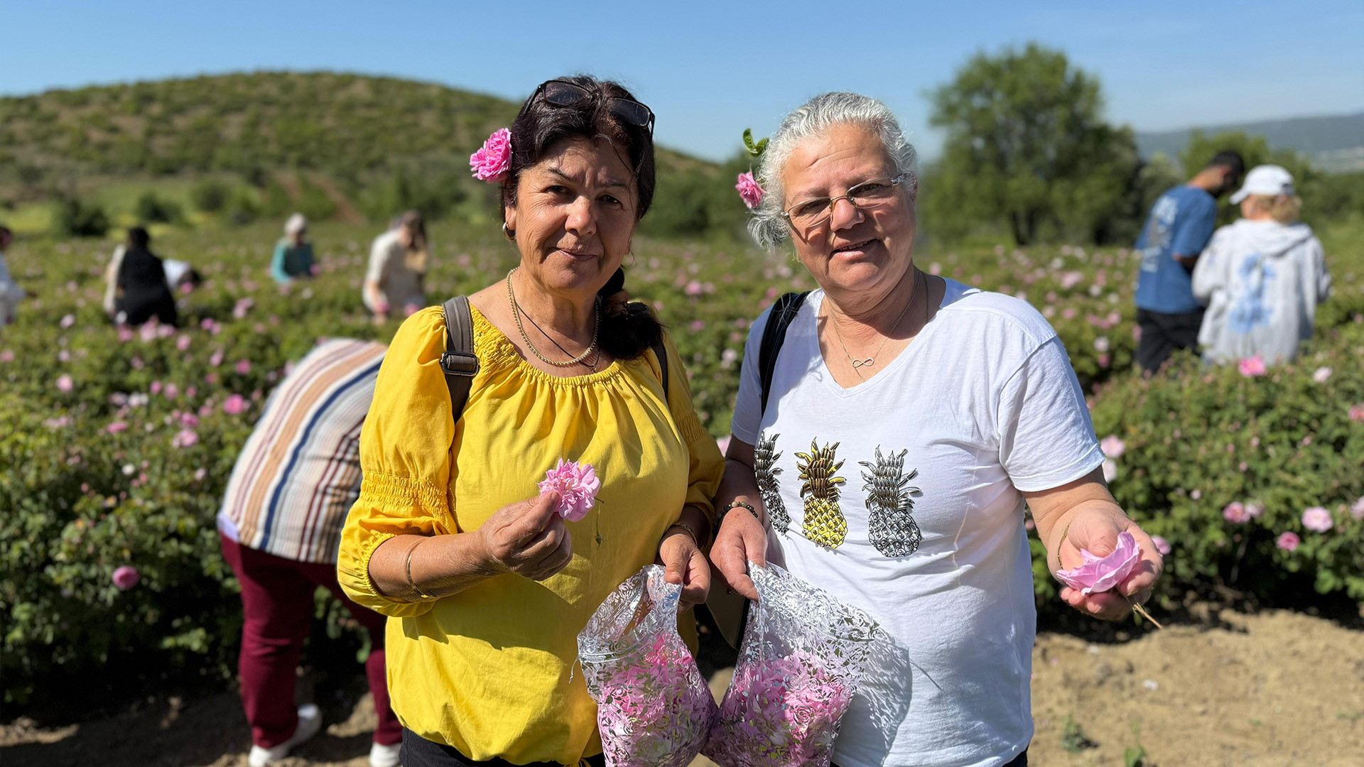 Gül Hasadi 2025 (5)