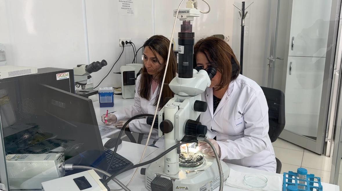Isparta'da, “Eğirdir Gölü Limnolojik Olarak Mercek Altında” (6)