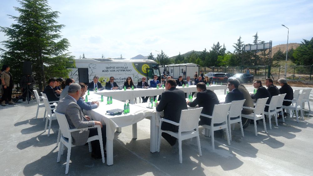 Sahipsiz Hayvanlar İçin Kritik Toplantı 1