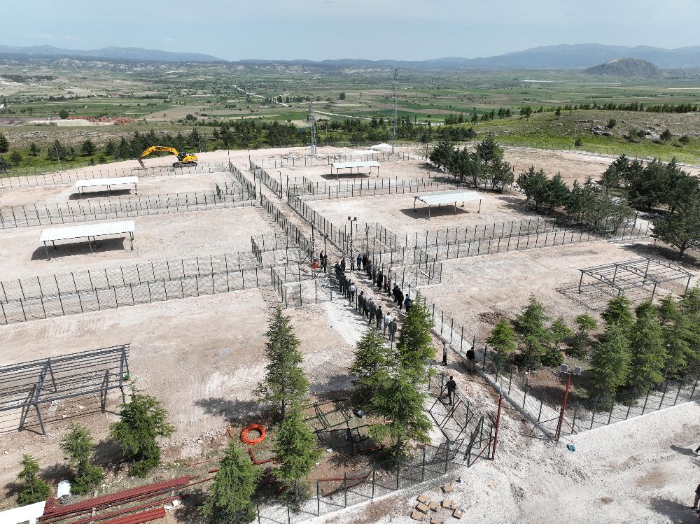 Sahipsiz Hayvanlar İçin Kritik Toplantı 3