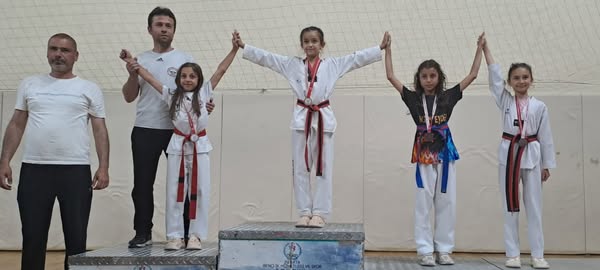 Taekwondo 1-1