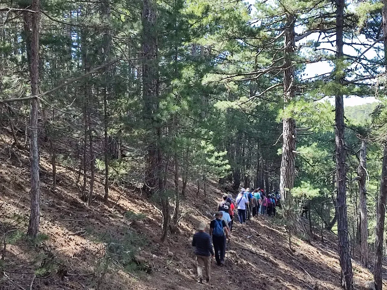 Yeşilova Yaylalarında Doğa Tutkunlarına Yürüyüş Daveti! 2