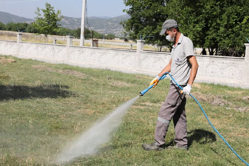 Bucak Belediyesi’nden Haşere Alarmı! 1