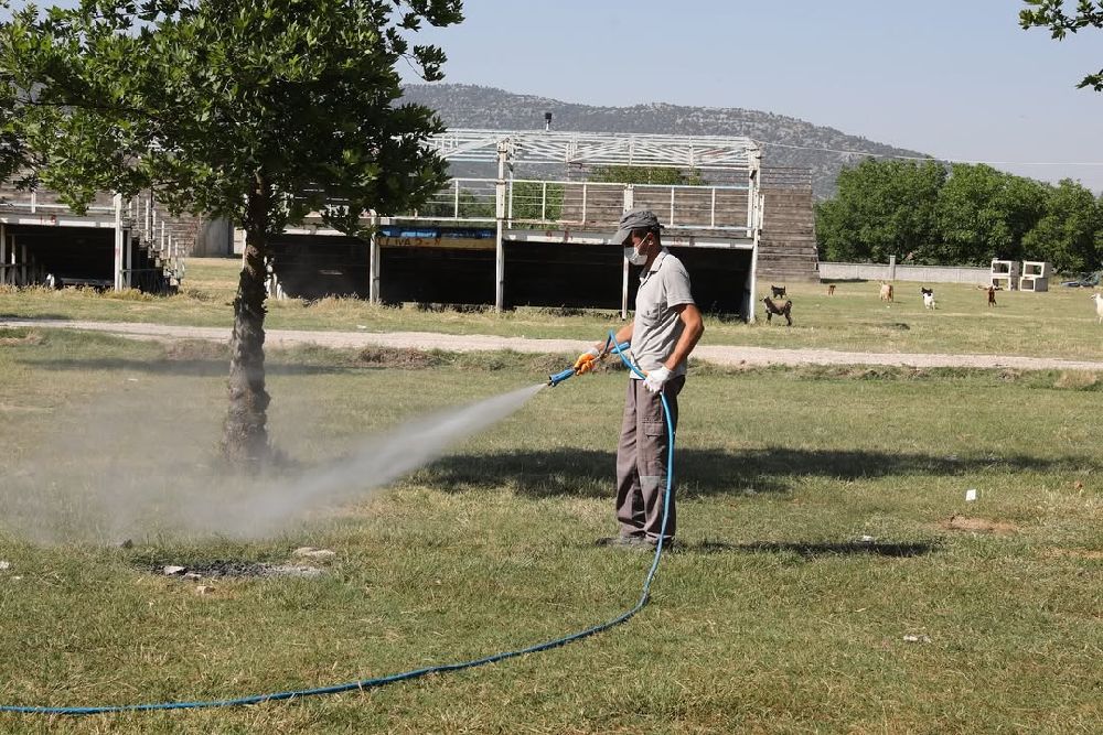 Bucak Belediyesi’nden Haşere Alarmı! 2