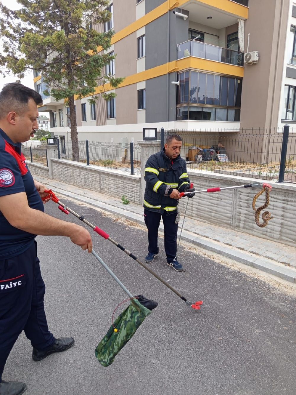 Burdur’da Sokak Ortasında Yılan Şoku! 2