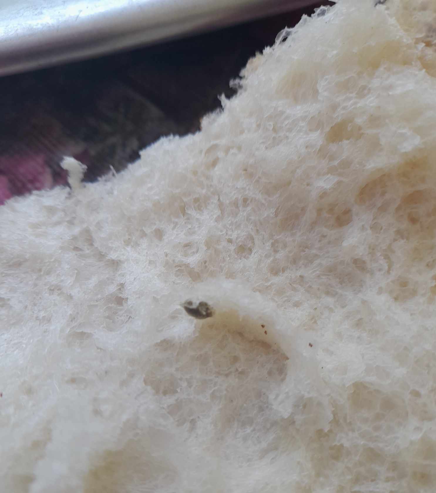 Edinilen Bilgiye Göre, Sabah Saatlerinde Kahvaltı Için Yaka Köyü’nde Bulunan Bir Fırından Ekmek Alan Bir Vatandaş, Evde Ekmeği Böldüğünde Içerisinde Fare Pisliğine Benzer Bir Madde Fark Etti. Durumu Görüntüleyerek Kfk Ajans W (1)