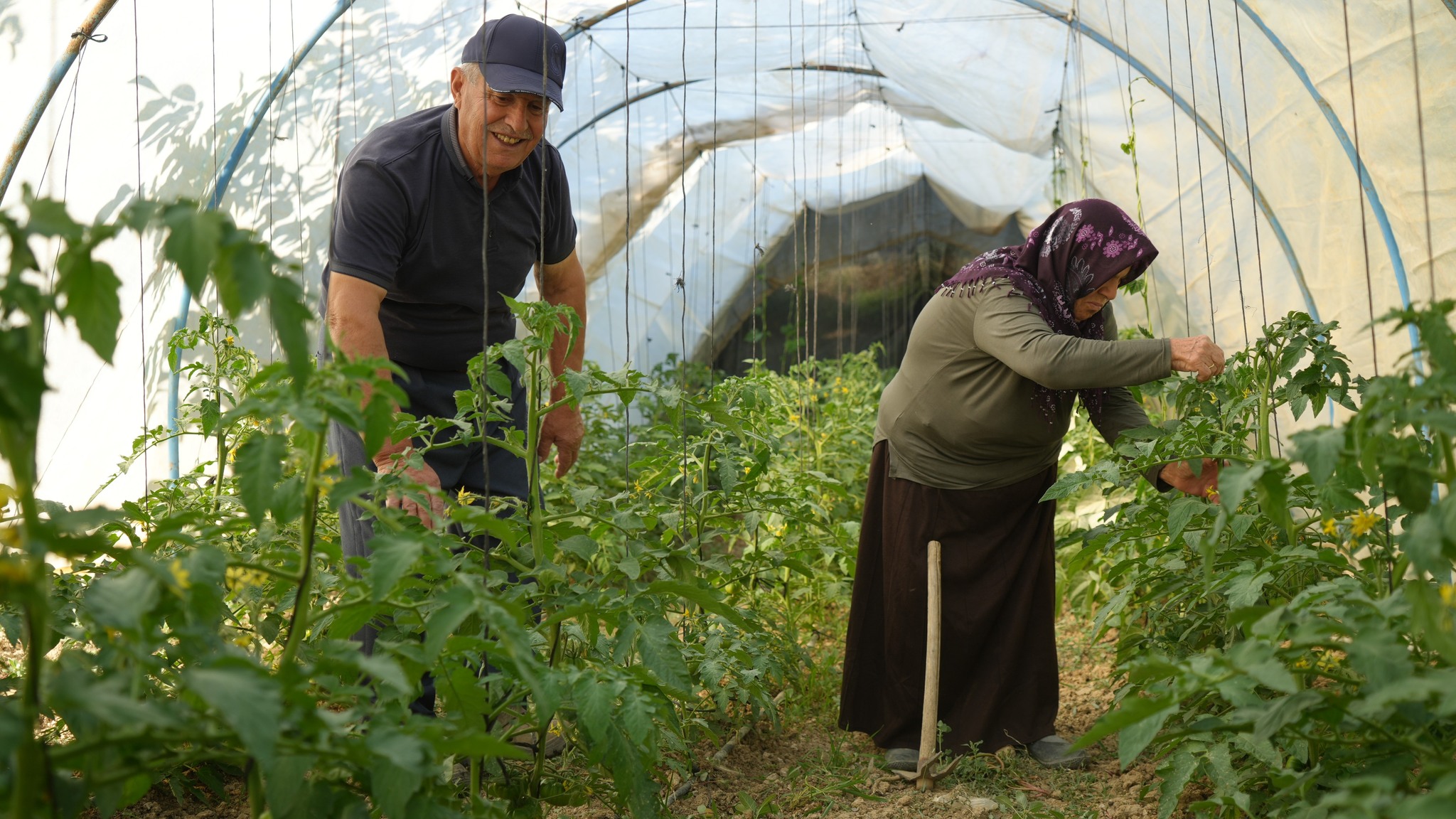 Fatma Teyze İlham Oldu Burdurlu Çift Arazilerini Jandarmaya Bağışladı! 4