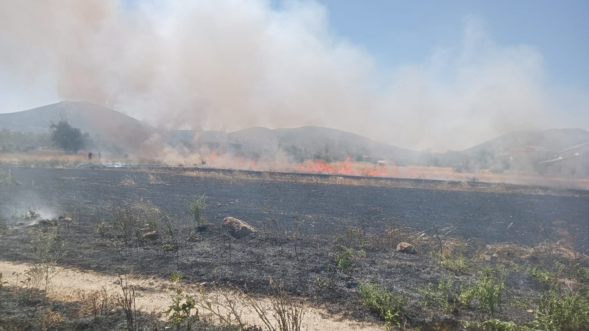 Isparta’da Boş Arazi Alevlere Teslim Oldu (2)