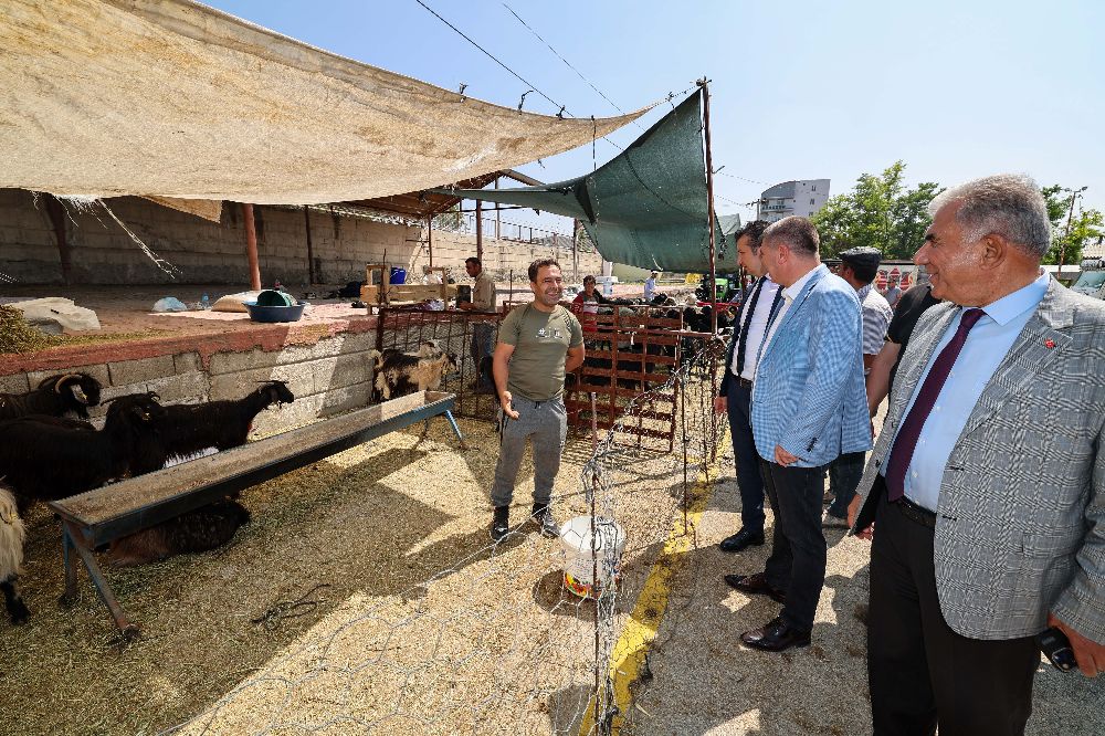 Kurban Pazarı Ziyareti Başkan Ercengiz Esnaf Ve Vatandaşla Buluştu 4