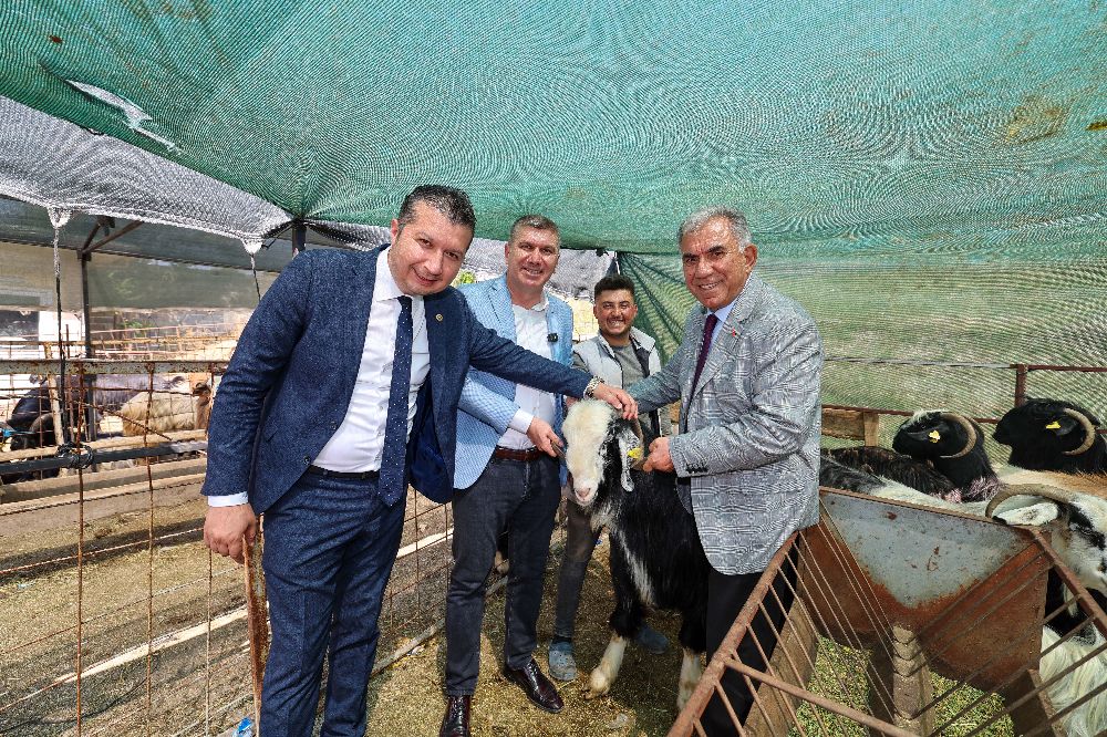 Kurban Pazarı Ziyareti Başkan Ercengiz Esnaf Ve Vatandaşla Buluştu 5