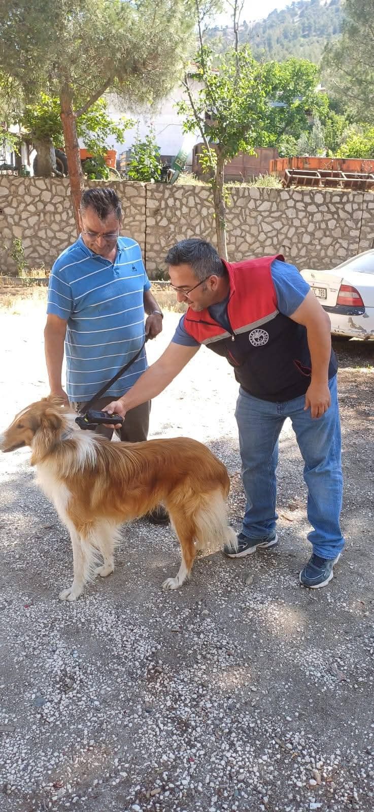 Yeşilova İlçe Tarım Müdürlüğü Sokak Hayvanlarını Güvenceye Alıyor 2