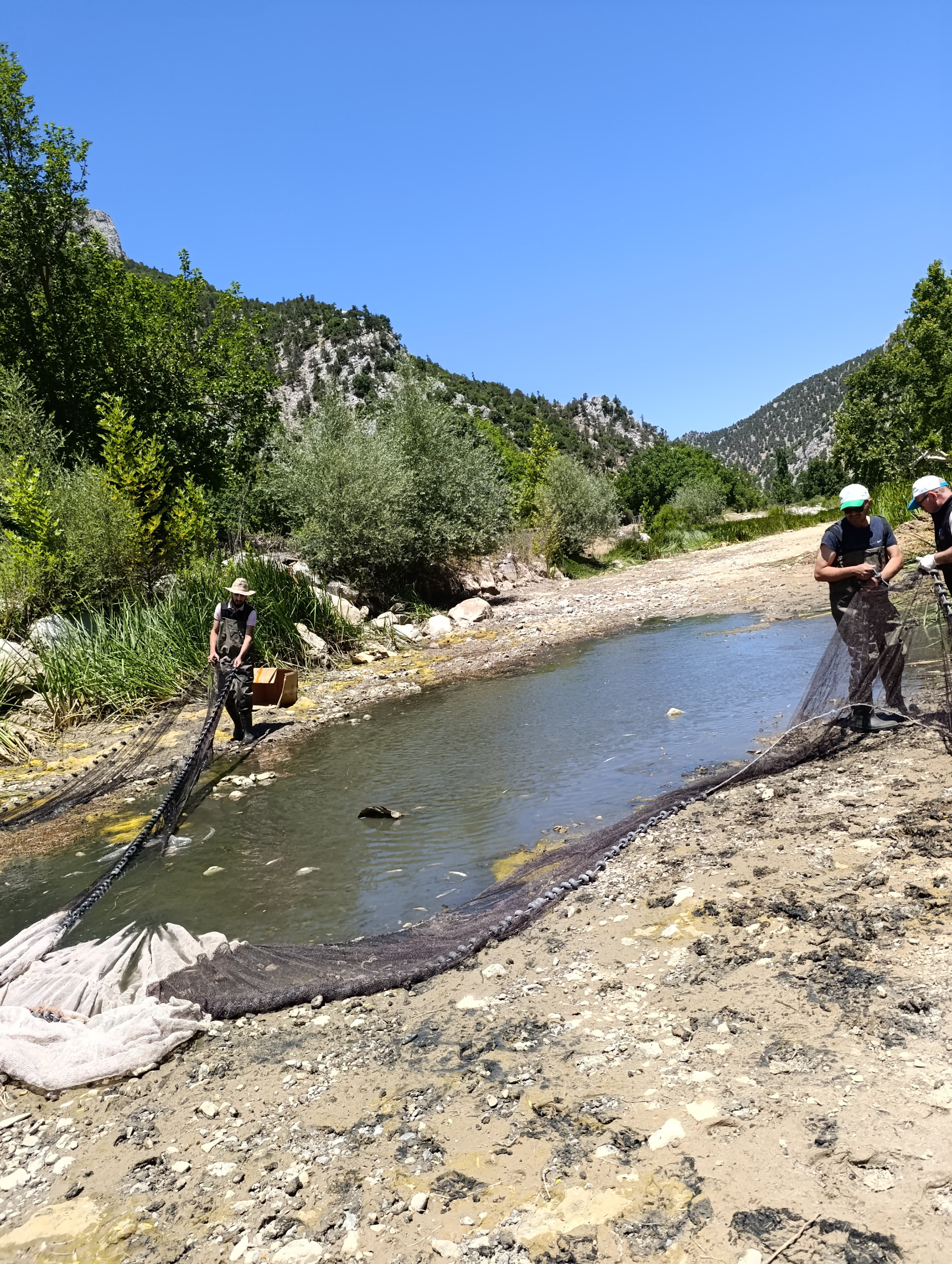 Bi̇nlerce Balik Kurtarildi (2)