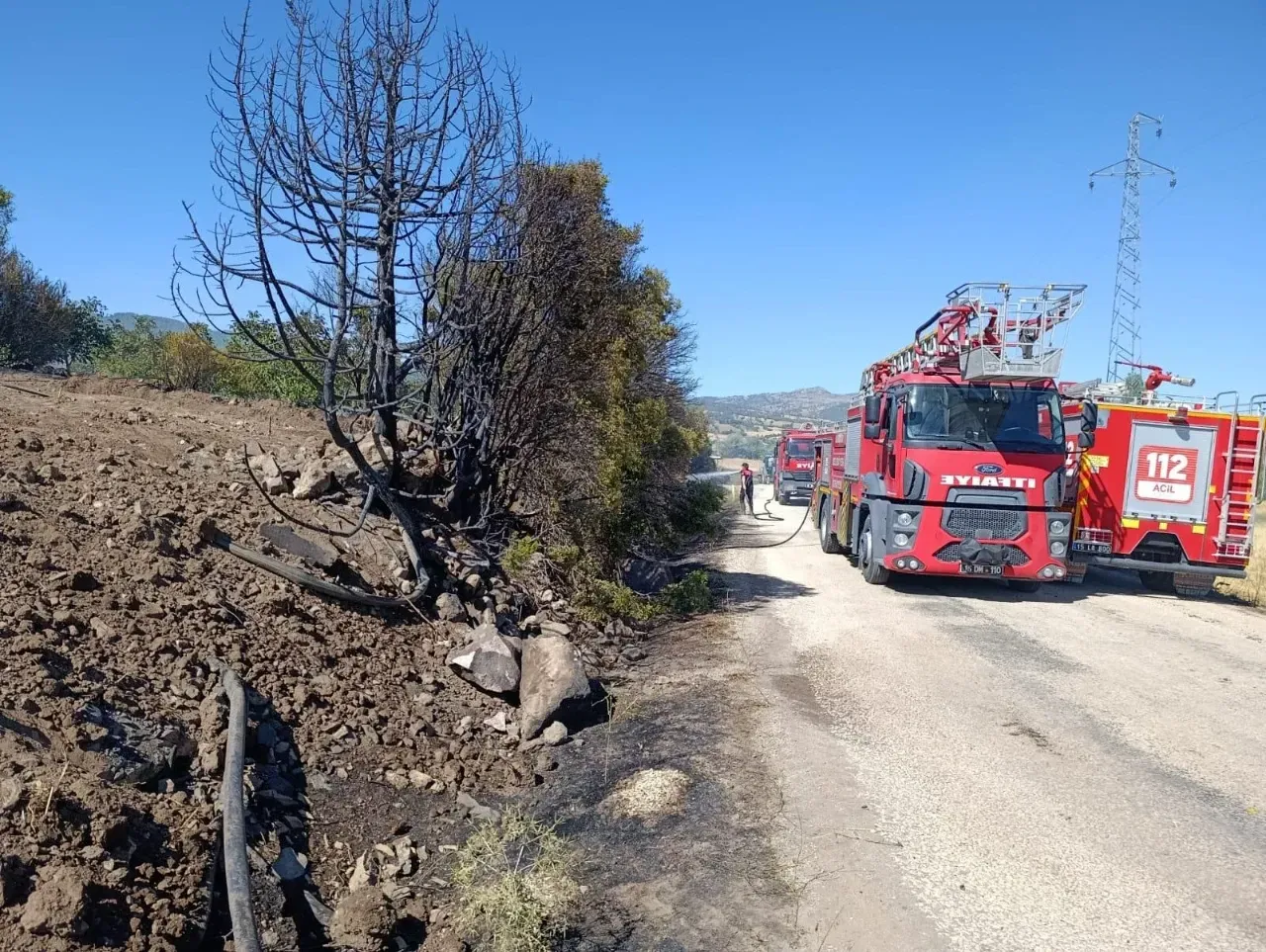Burdur Örencik’te Yangın! 5 Dönümlük Ceviz Bahçesi Kül Oldu 2