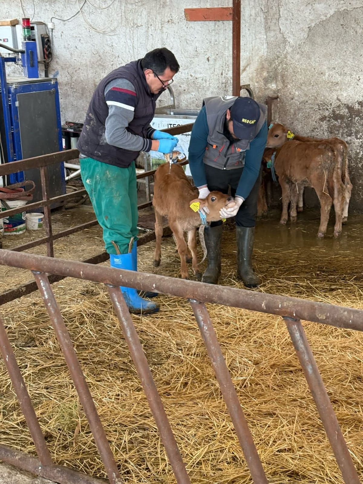 Burdur’da İkinci Bir Emre Kadar Yasak 1