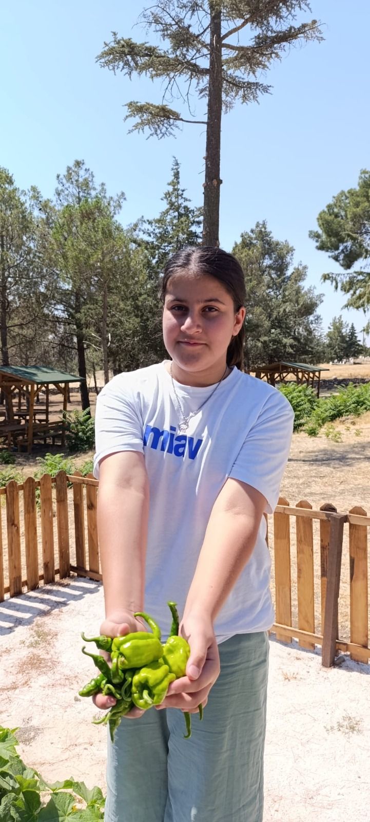 Organik Hasadın Minik Kahramanları Burdur’da Toprakla Buluştu 2