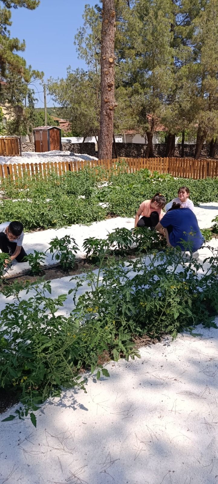 Organik Hasadın Minik Kahramanları Burdur’da Toprakla Buluştu 3
