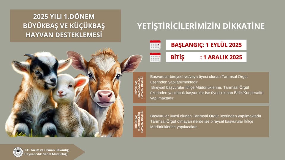 2025’Te Büyükbaş Ve Küçükbaş Destek Başvurulari Başliyor (1)