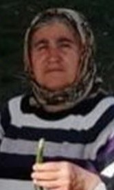 Bağkonak Köyünde Saman Balyası Taşırken Düşen Kadın Hayatını Kaybetti-1