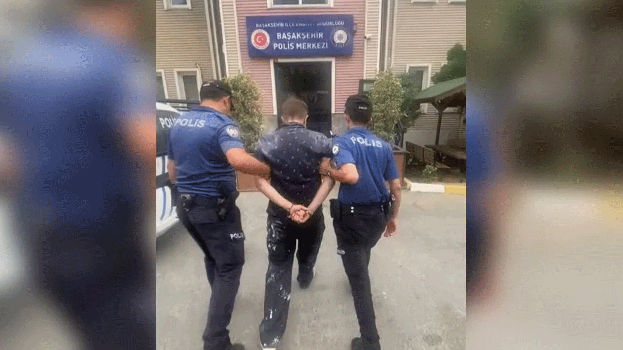 Basaksehir Kedi