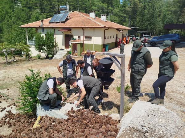 Isparta Orman Bölge Müdürü Bucak’ta Çalışmaları İnceledi (1)