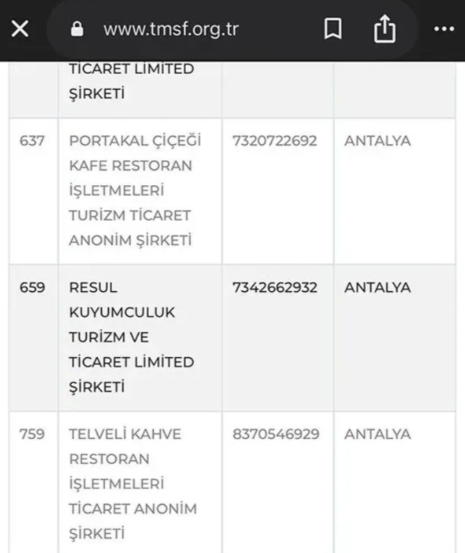 Kayyim Tmsf Antalya