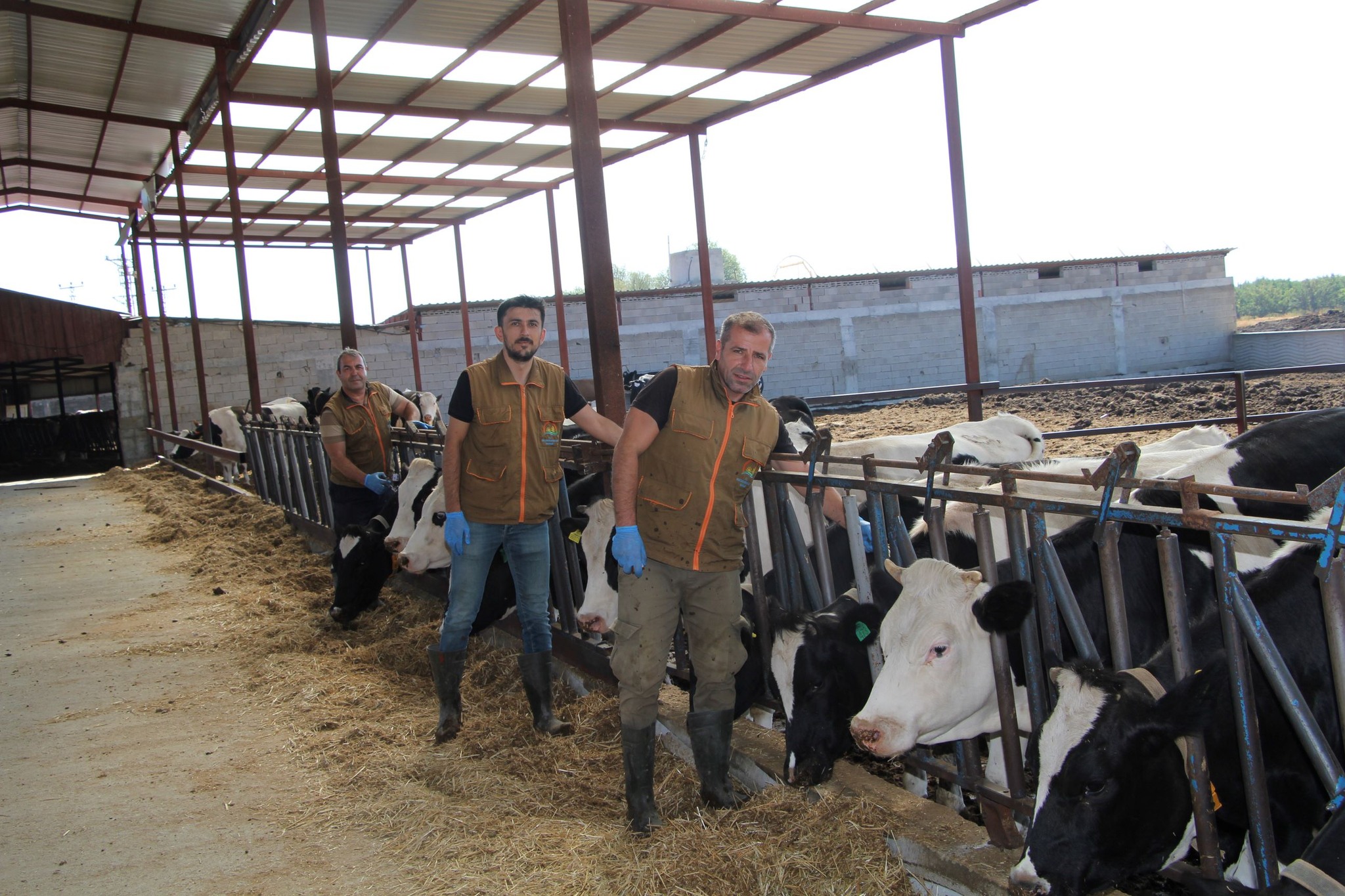 Isparta’da bu aşı üretimde kaybı önleyecek!