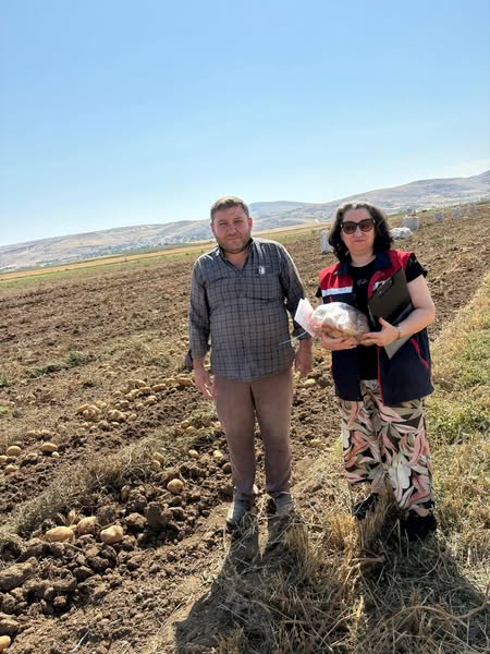 Afyonkarahisar’da Patates Tarlalarında Pestisit Denetimi (4)