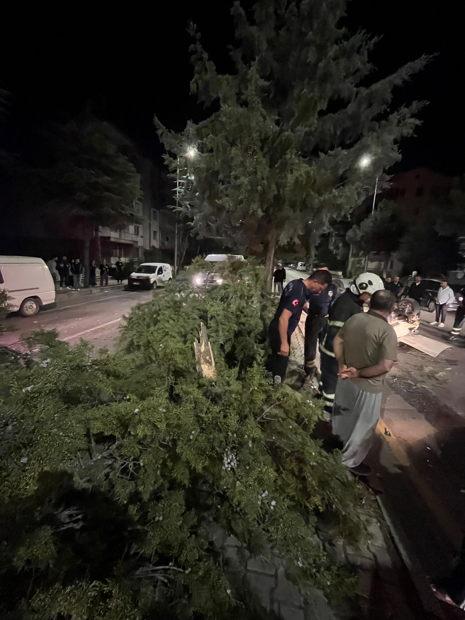 Ağaca Çarpan Otomobil Takla Attı, Sürücü Sağ Kurtuldu (1)