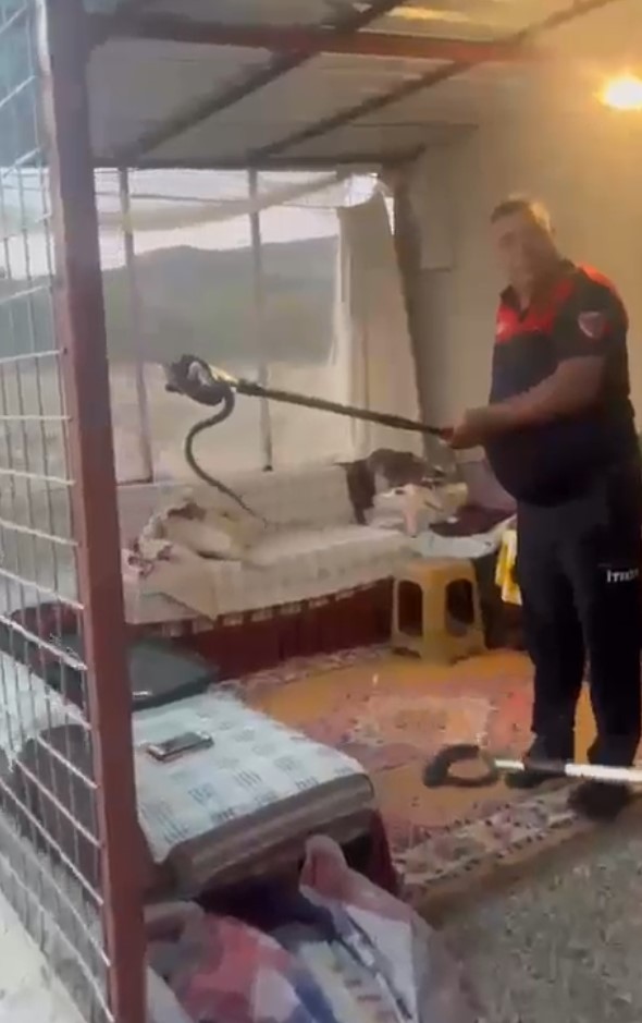 Eve Giren Yılan Köyde Paniğe Neden Oldu (2)