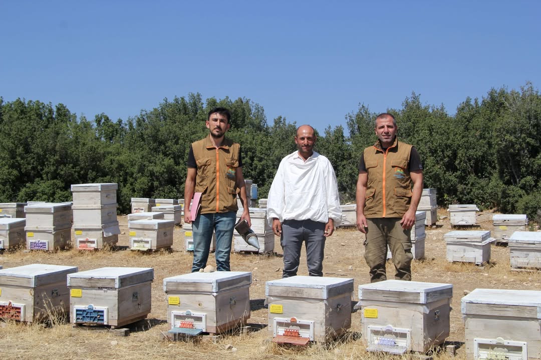 Isparta’da yıllık bal üretimi 256 tonu aştı-1