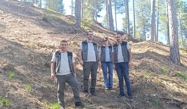 Isparta'da Kızılçam Gençleştirme Çalışmaları Denetlendi (4)