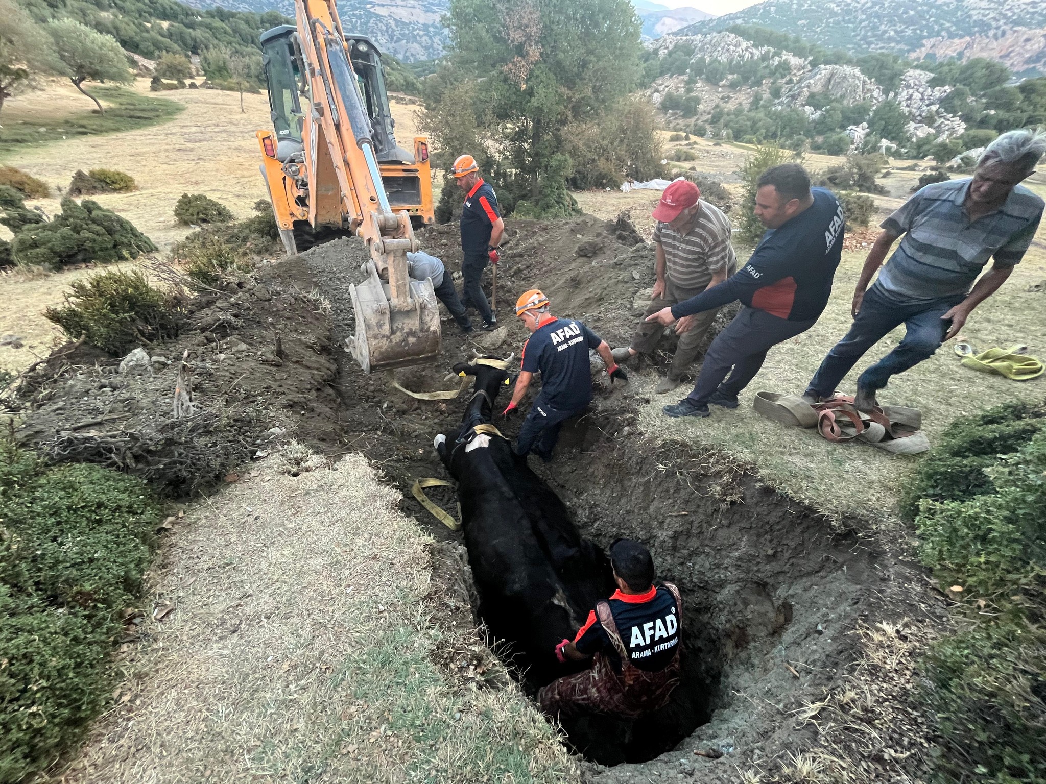 Kuyuya Düşen İnek Ekipleri Kan Ter İçinde Bıraktı (3)