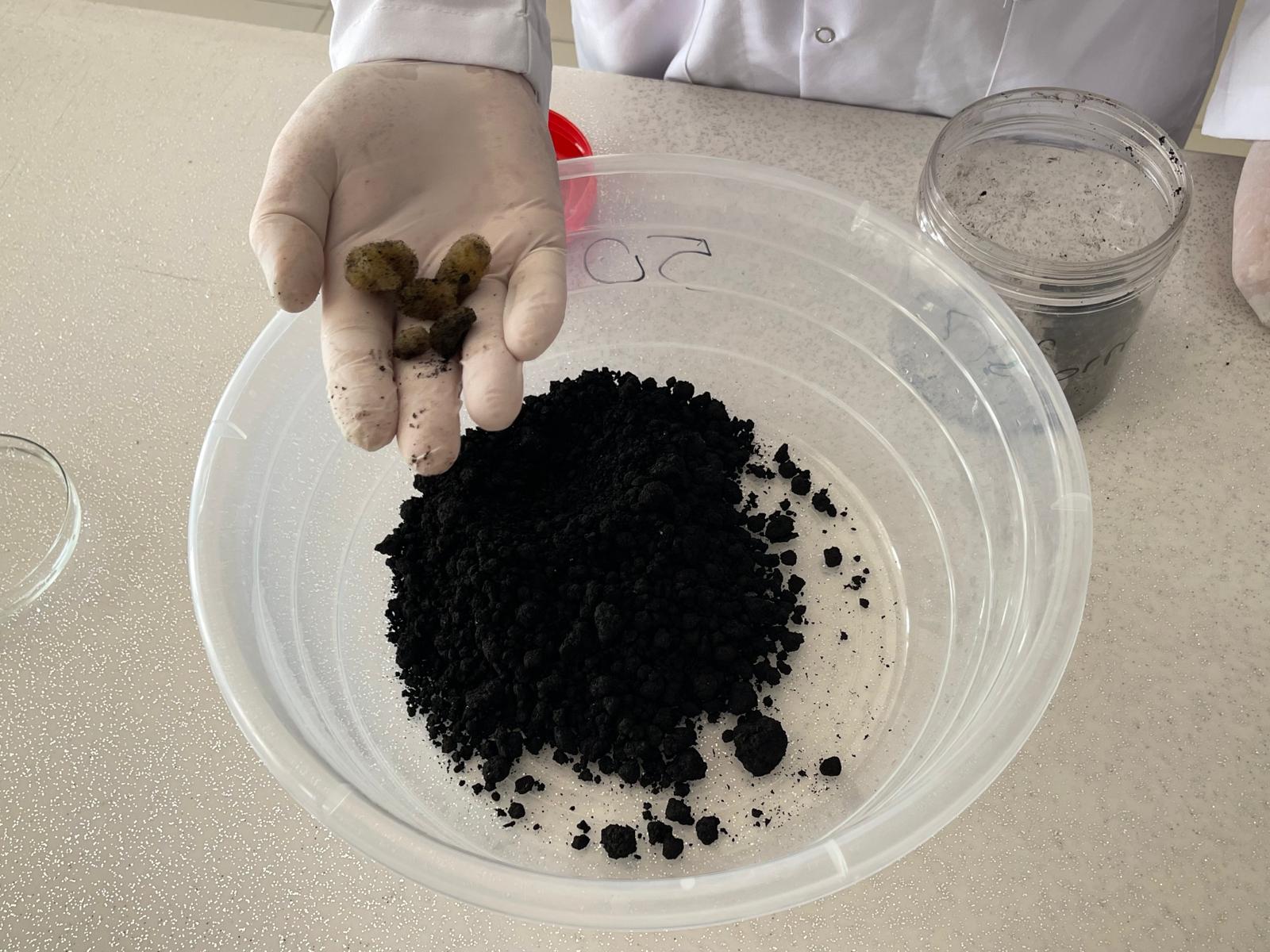 ISUBÜ’nün tıbbi sülük eğitimleri Orta Asya’ya açıldı-4