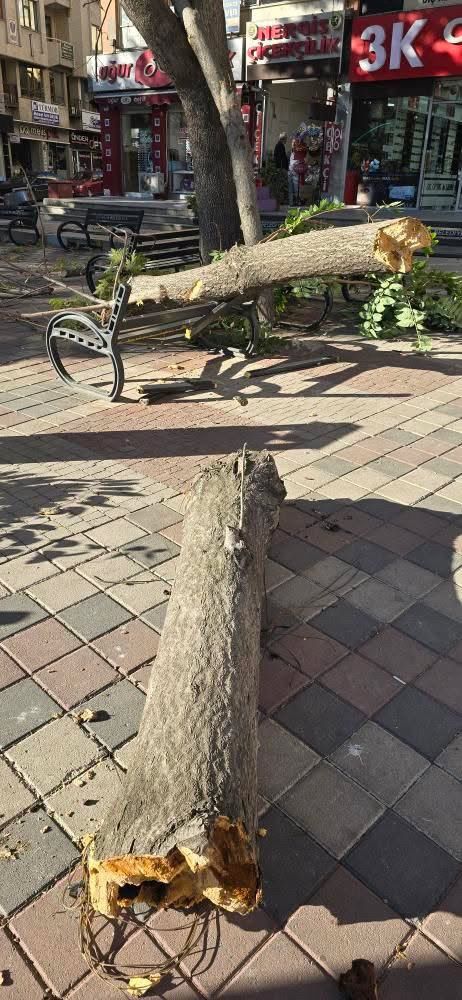 Isparta’da ağacın kırılan dalı bankın üzerine düştü-1