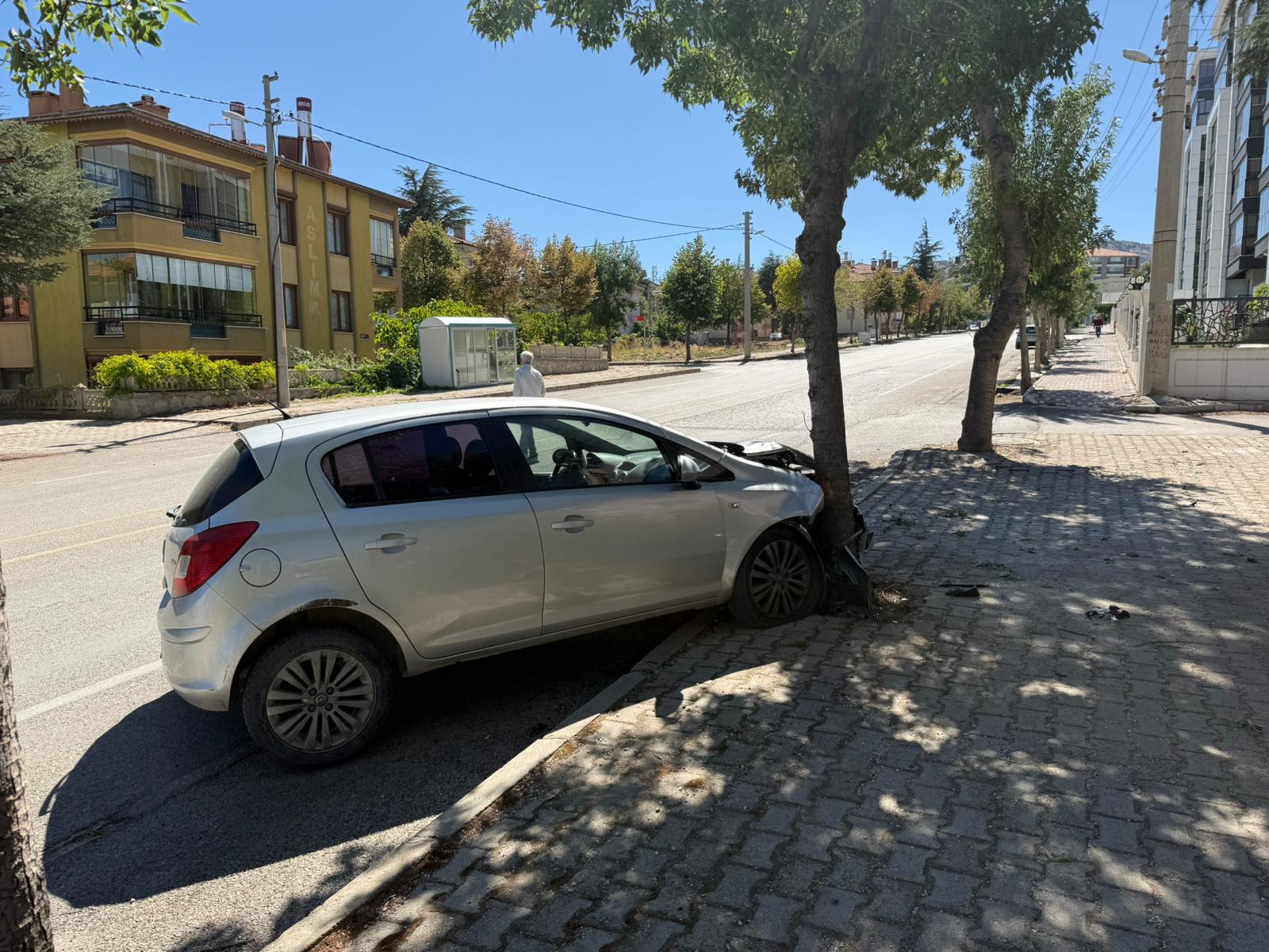 Isparta’da Kaldırımdaki Ağaca Çarpan Otomobil Sürücüsü Kaçtı-1