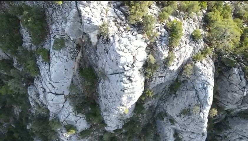 Doğa Koruma Dron Görüntüsü