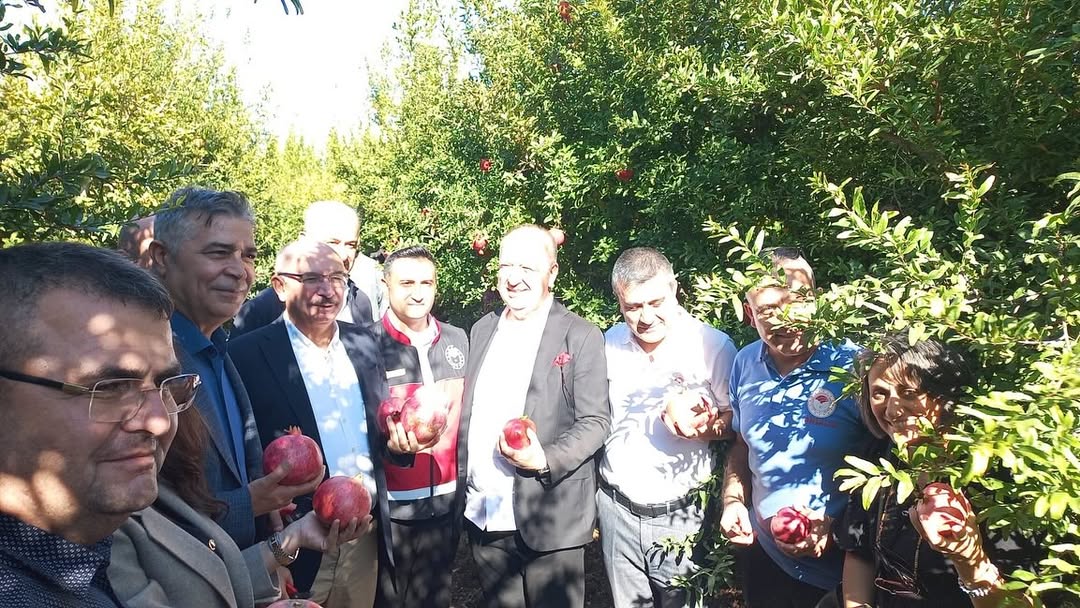 Döşemealtı Narında Coğrafi İşaret Tescili Yolda-1