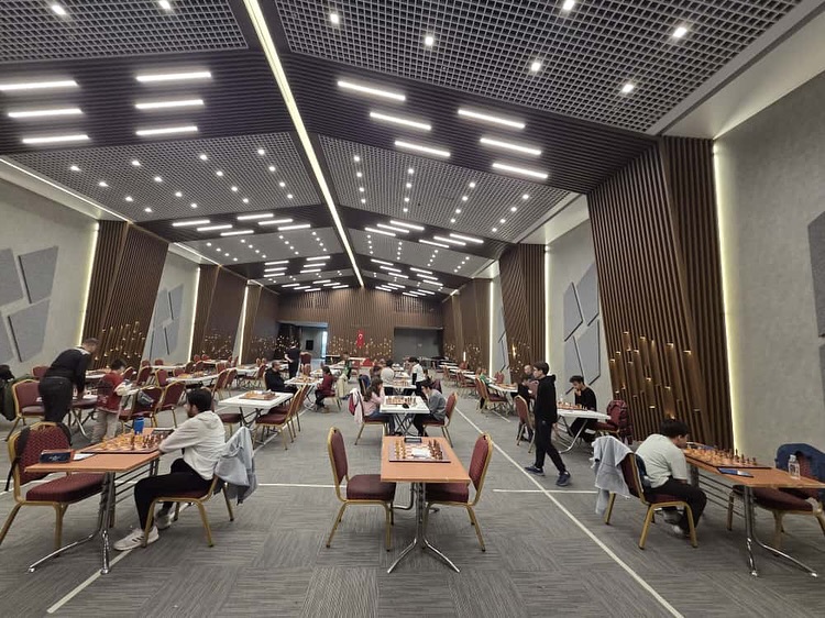 Hamleler Dostluk İçin Yapıldı! 2