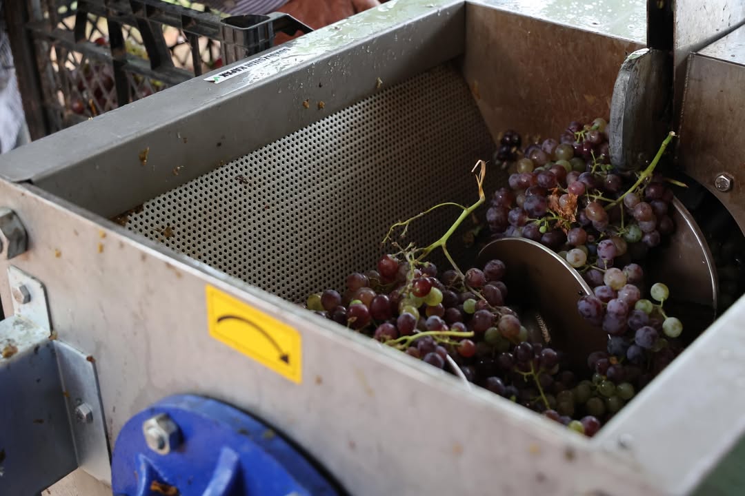 Üreticilere Ekipman Desteği Sağlıyoruz 🍇Yerelden Kalkınma Hedefleri Doğrultusunda Üreticilere M